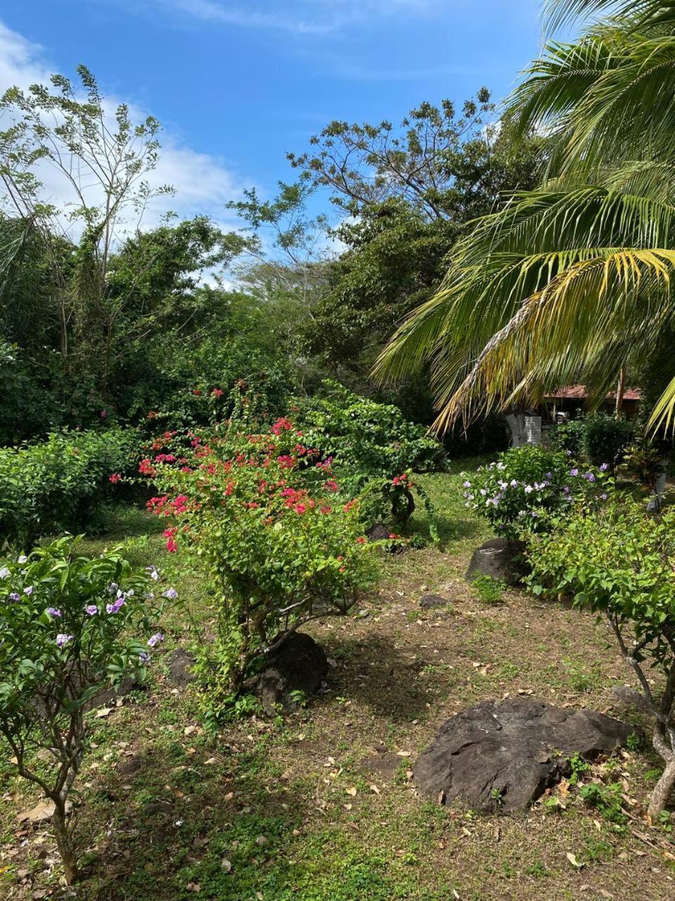Finca Montana Sagrada Mérida Extérieur photo