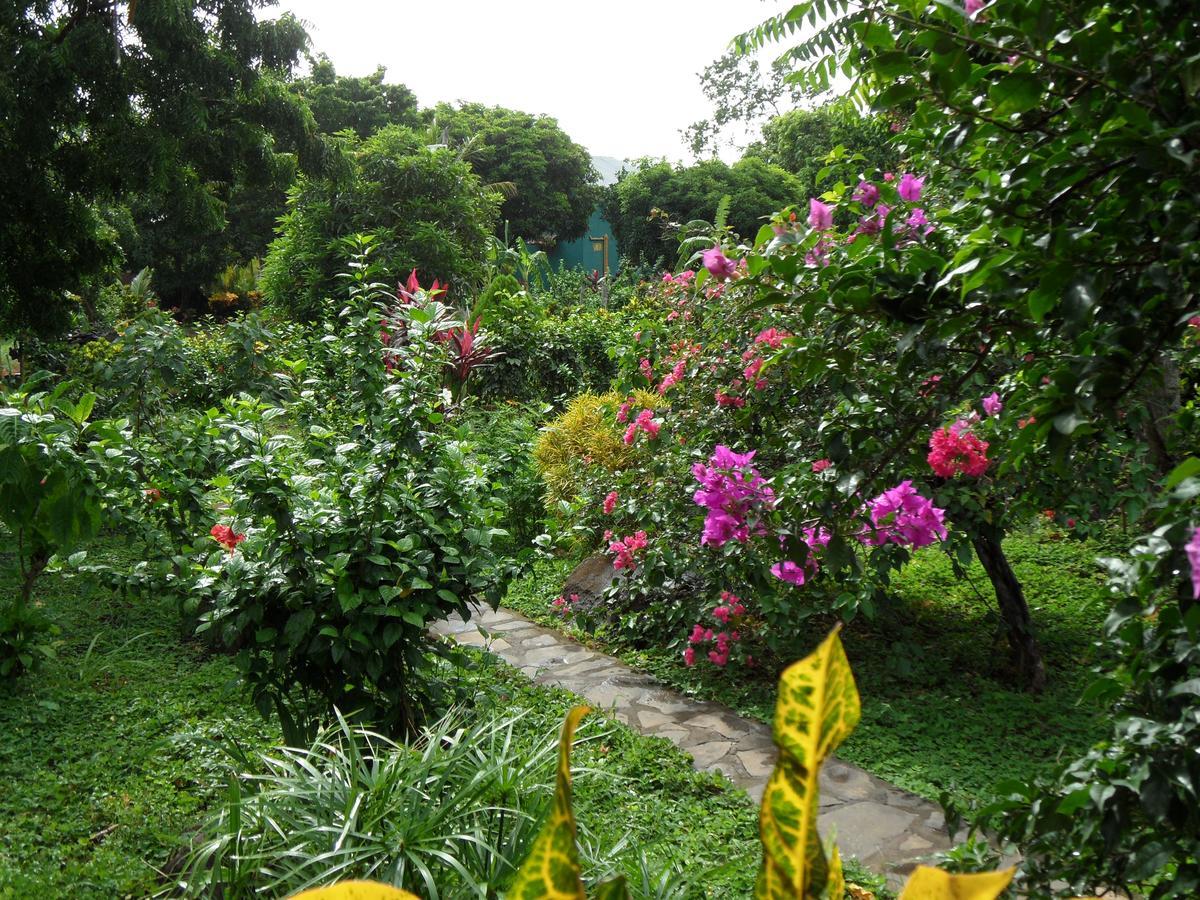 Finca Montana Sagrada Mérida Extérieur photo
