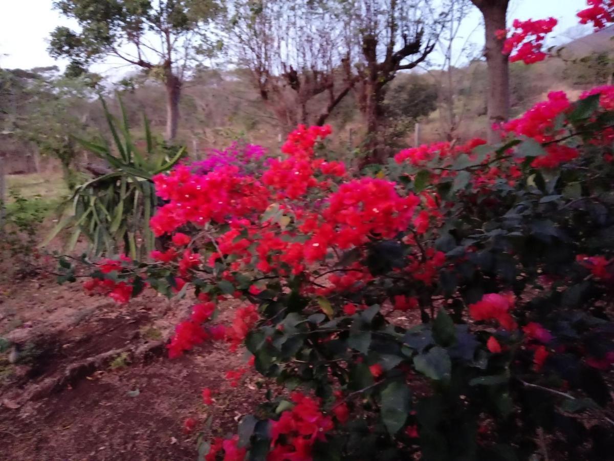 Finca Montana Sagrada Mérida Extérieur photo