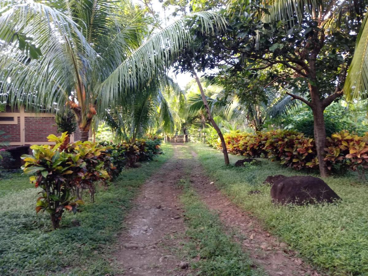 Finca Montana Sagrada Mérida Extérieur photo