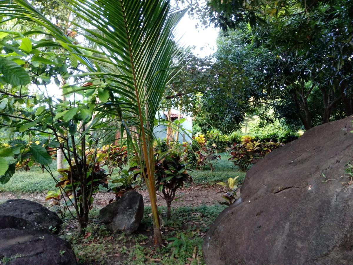 Finca Montana Sagrada Mérida Extérieur photo